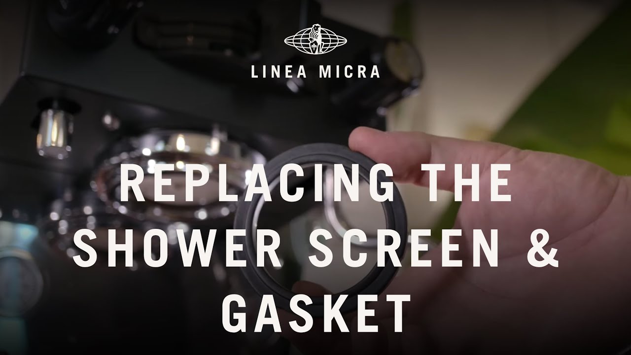 Linea Micra_ How to replace shower screen and gasket