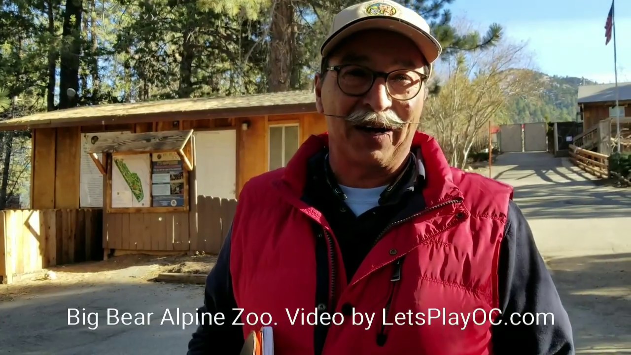 Big Bear Alpine Zoo with Curator #LiveItUpBigBear AD