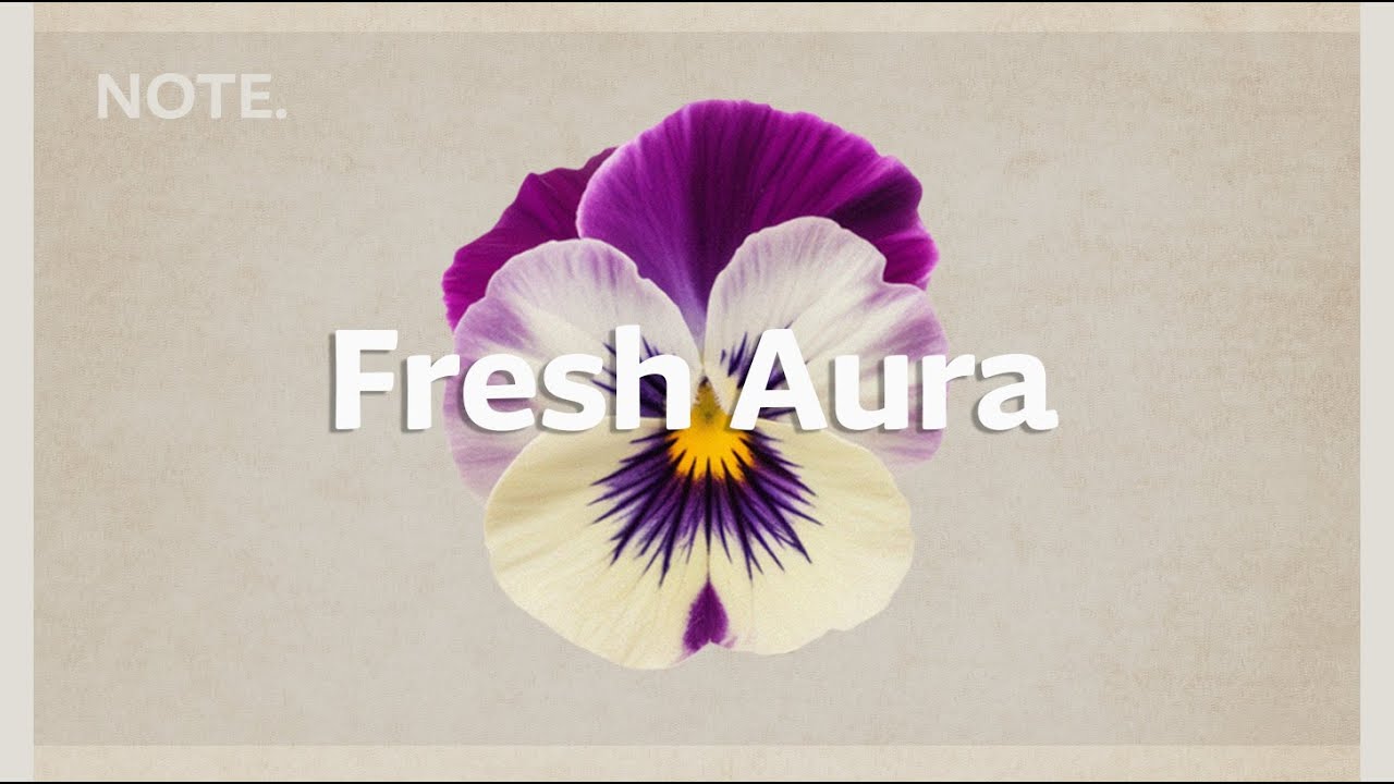 Fresh Aura | Chill House for a Positive Morning Vibe