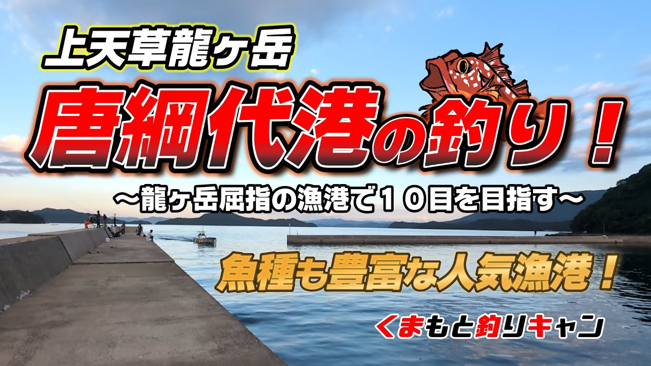 【上天草龍ヶ岳の唐綱代港の釣り】魚種も豊富で人気の高い龍ヶ岳屈指の釣りスポット！スタートからアタリ連発！色々な仕掛けを駆使して１０目を目指す！#天草釣り # 熊本釣り #チヌ釣り