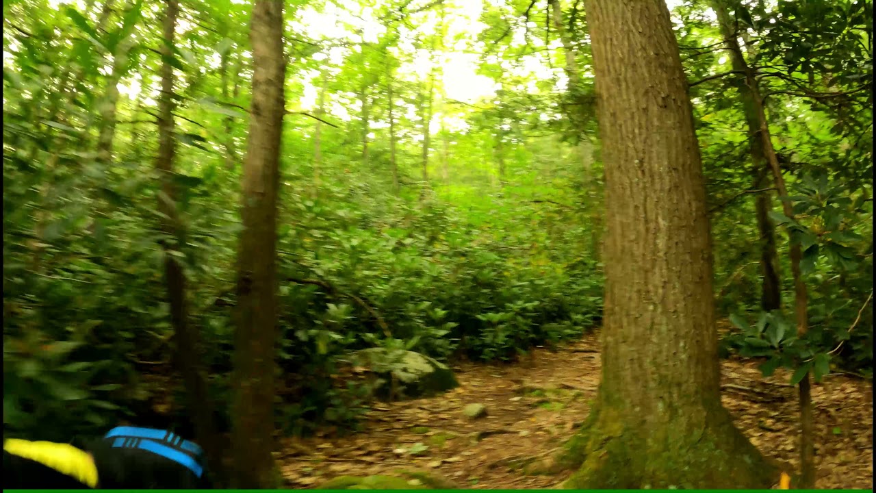 Wawayanda Rockadendron Trail Sept 12, 2021