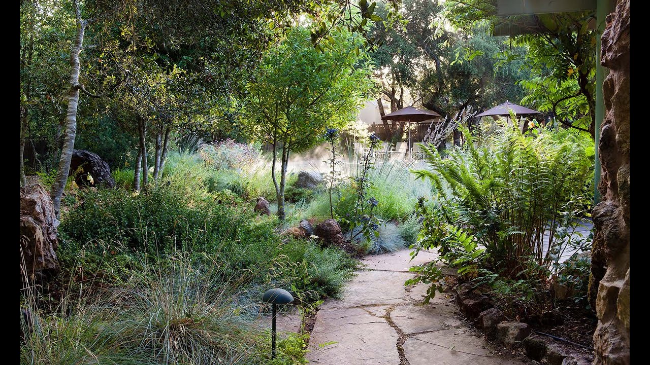 Native Gardening Chats: Seasonal Aesthetics for the Native Garden