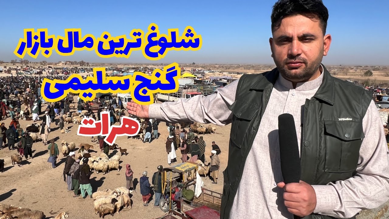 شلوغ ترین بازار شرق هرات اکثر معامله گران وکسبه کاران دراین بازار مصروف معامله هستند .