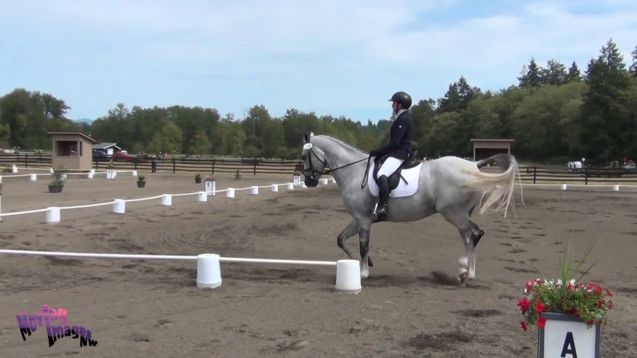 Samantha Bergin; Caber Farm Horse Trials August 2019