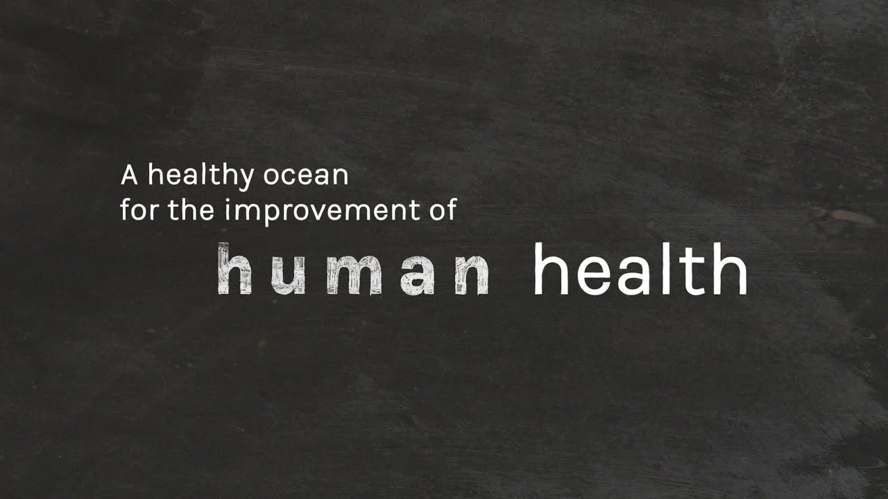 A Healthy Ocean for the Improvement of Human Health | Ocean Panel