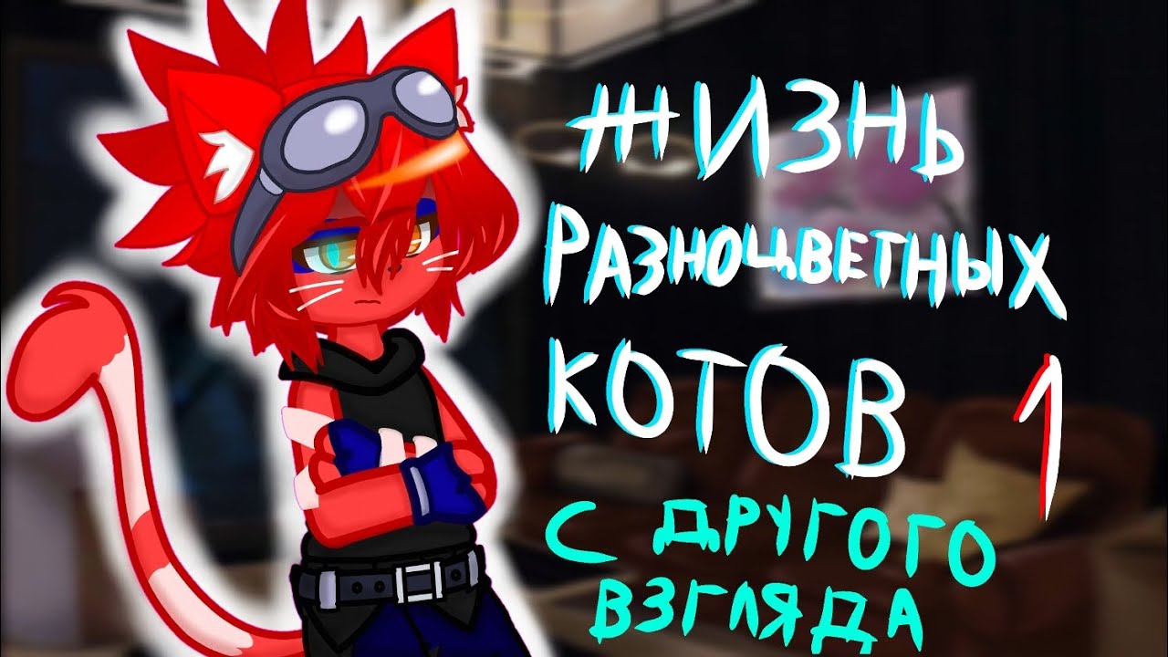 Жизнь Разноцветных Котов: С другого взгляда 1 Часть (моё АУ)
