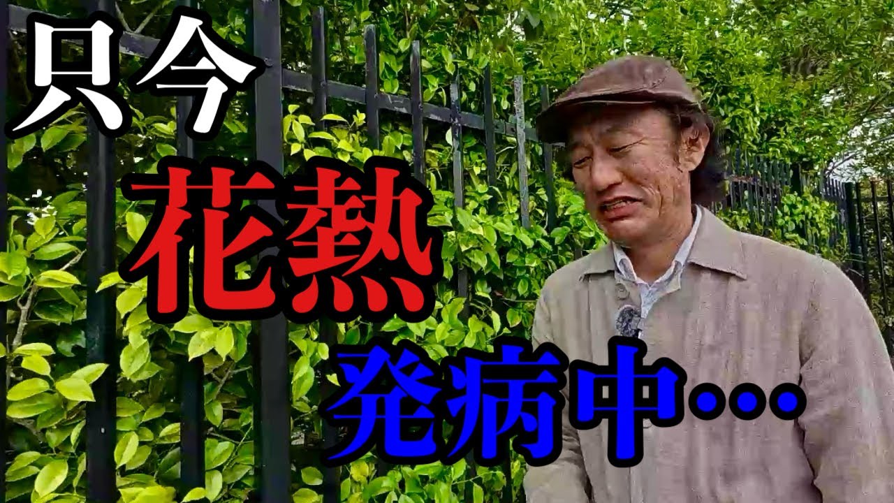 【ごめんなさい】また再発してしまいました。。。　　　　　【園芸超人カーメン君】【浜名湖花フェスタ２０２５】【浜松フラワーパーク】