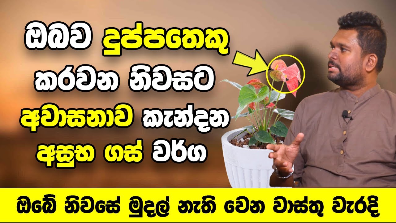 ඔබේ නිවසේ මුදල් නැති වෙන ඔබ අතින් සිදු වන භයානක වාස්තු වැරදි | Vasthu Dosha House
