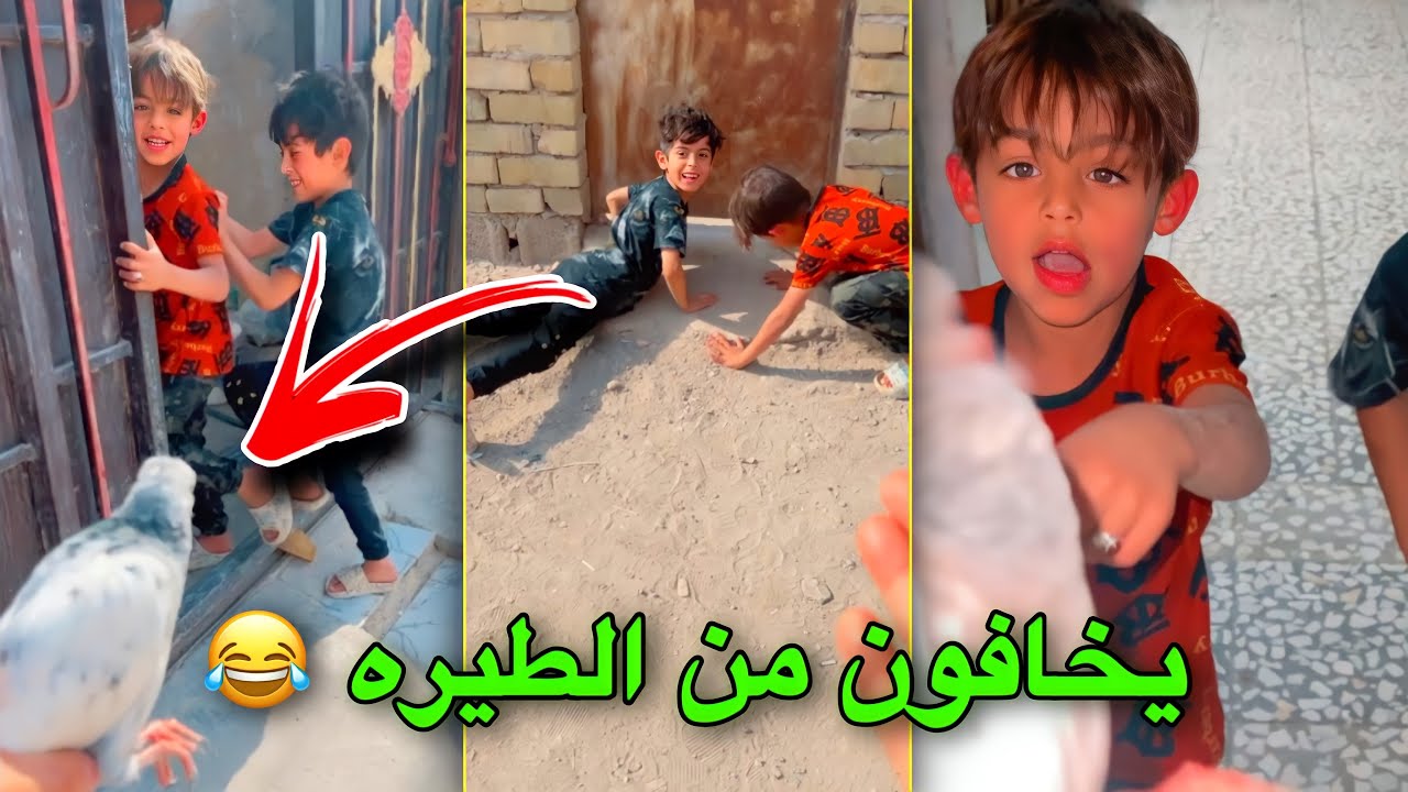 لزمو طيره بالشارع ويخافون من الطيره 🤣