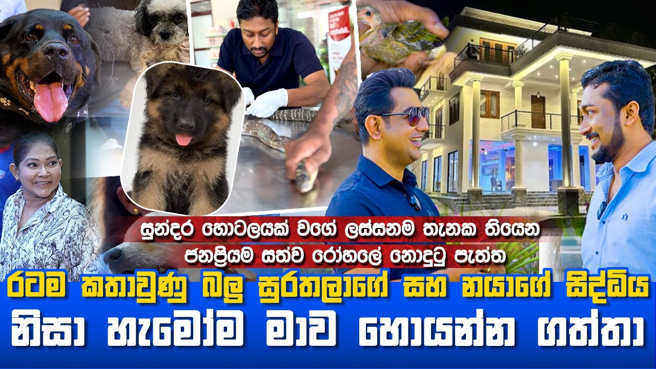 ඒ බලු සුරතලාගෙ සහ නයාගෙ  සිද්ධිය නිසා හැමෝම මාව හොයන්න ගත්තාI ලස්සනම තැනක තියෙන ජනප්‍රියම සත්ව රෝහලI