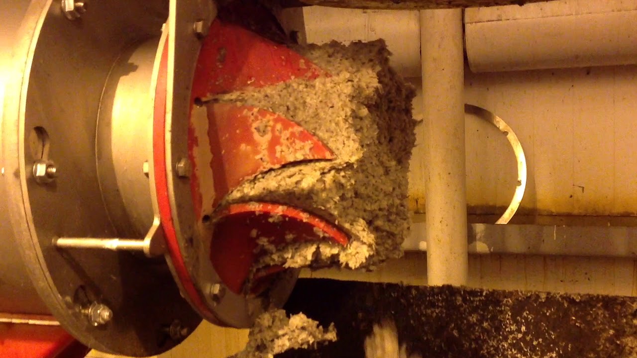 Отжим свекловичного жома на шнековом сепараторе SEPCOM / Sugarbeet pulp screw separaton on SEPCOM
