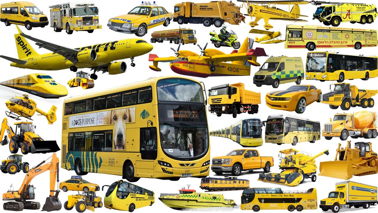 Learning Vehicle Name YELLOW COLORS | Bus, Cars, Trucks, Trains, Tram, Boat, Airplane, Helicopter