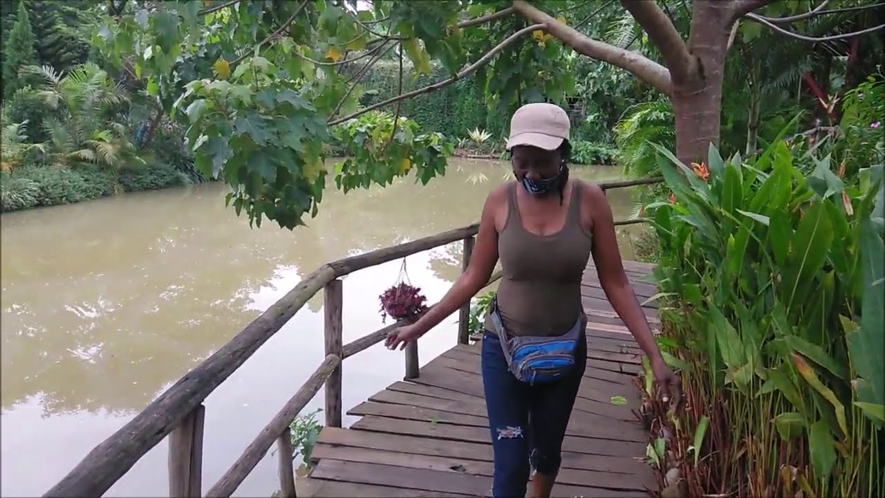 🌴🌴 A Walk Through Sunday Park Botanical Garden In Kigali, Rwanda