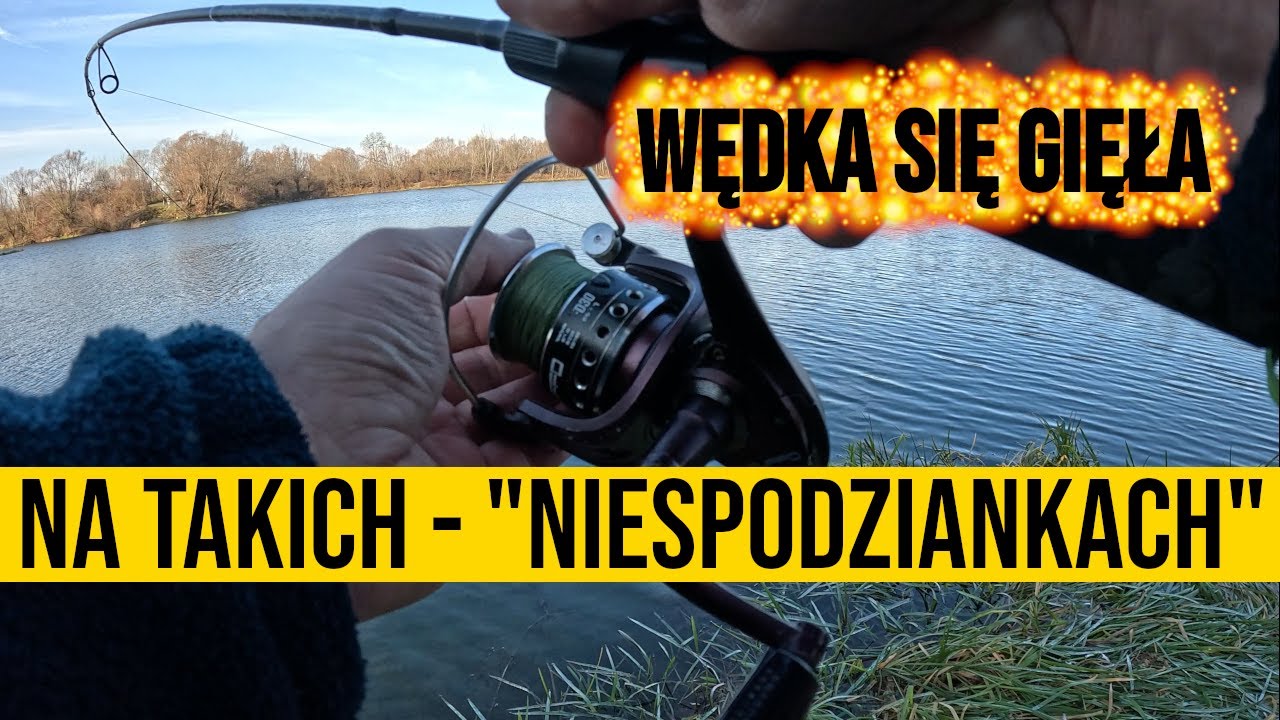 MEGA dzień - 3 ZĘBATE i do tego dwie SUPER NIESPODZIANKI❗️❗️❗️