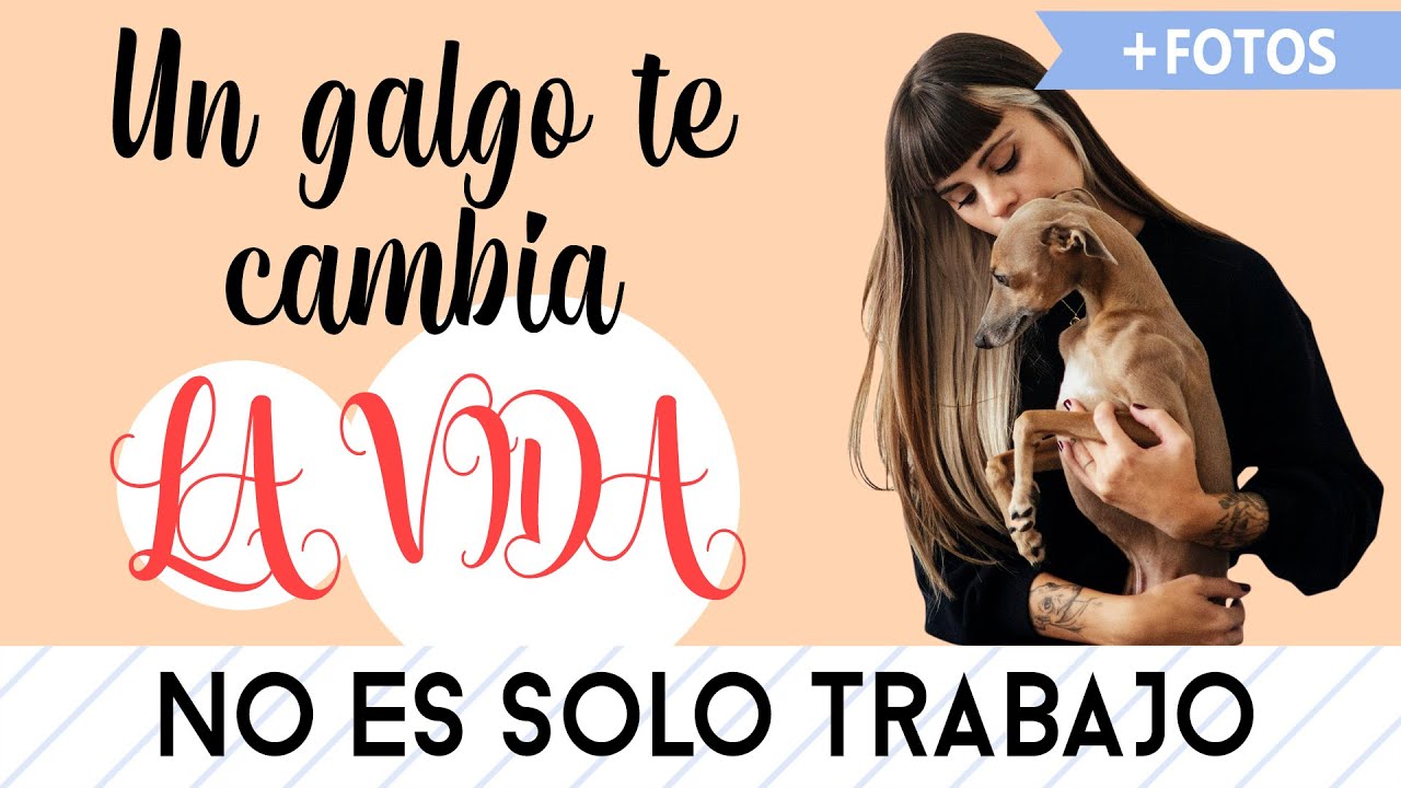 🐶 Fotografía Muy Animal! FOTÓGRAFA DE PERROS y mascotas profesional - Fotoperrería By Carlina - 
