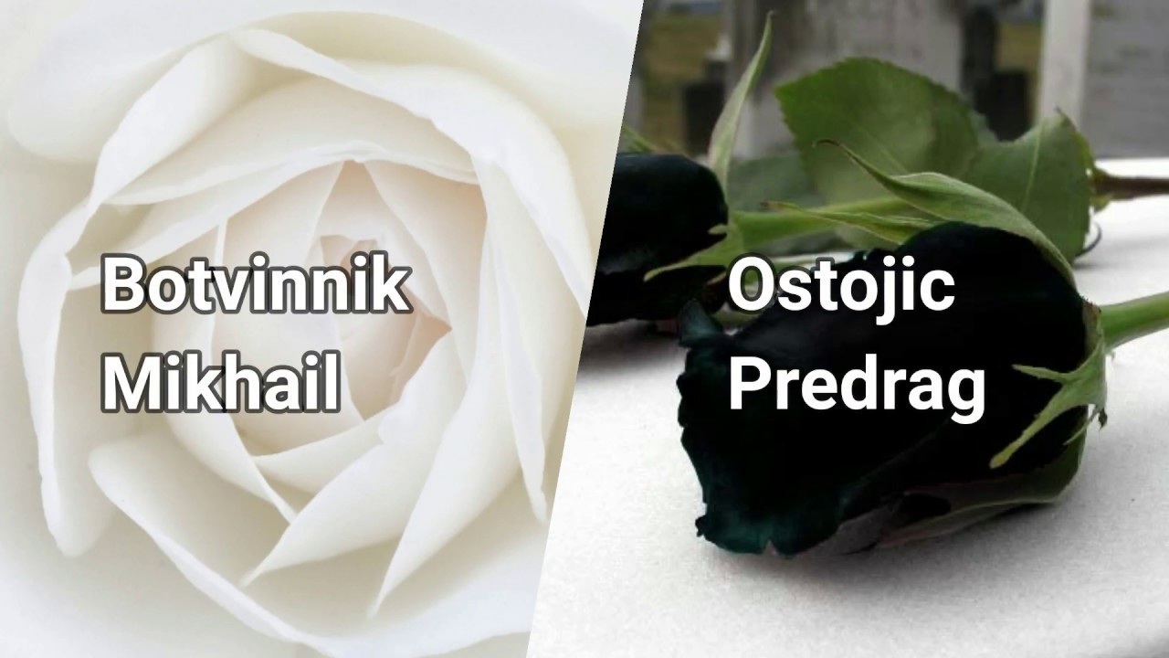 Chess Game : Botvinnik Mikhail Vs Ostojic Predrag (1969)