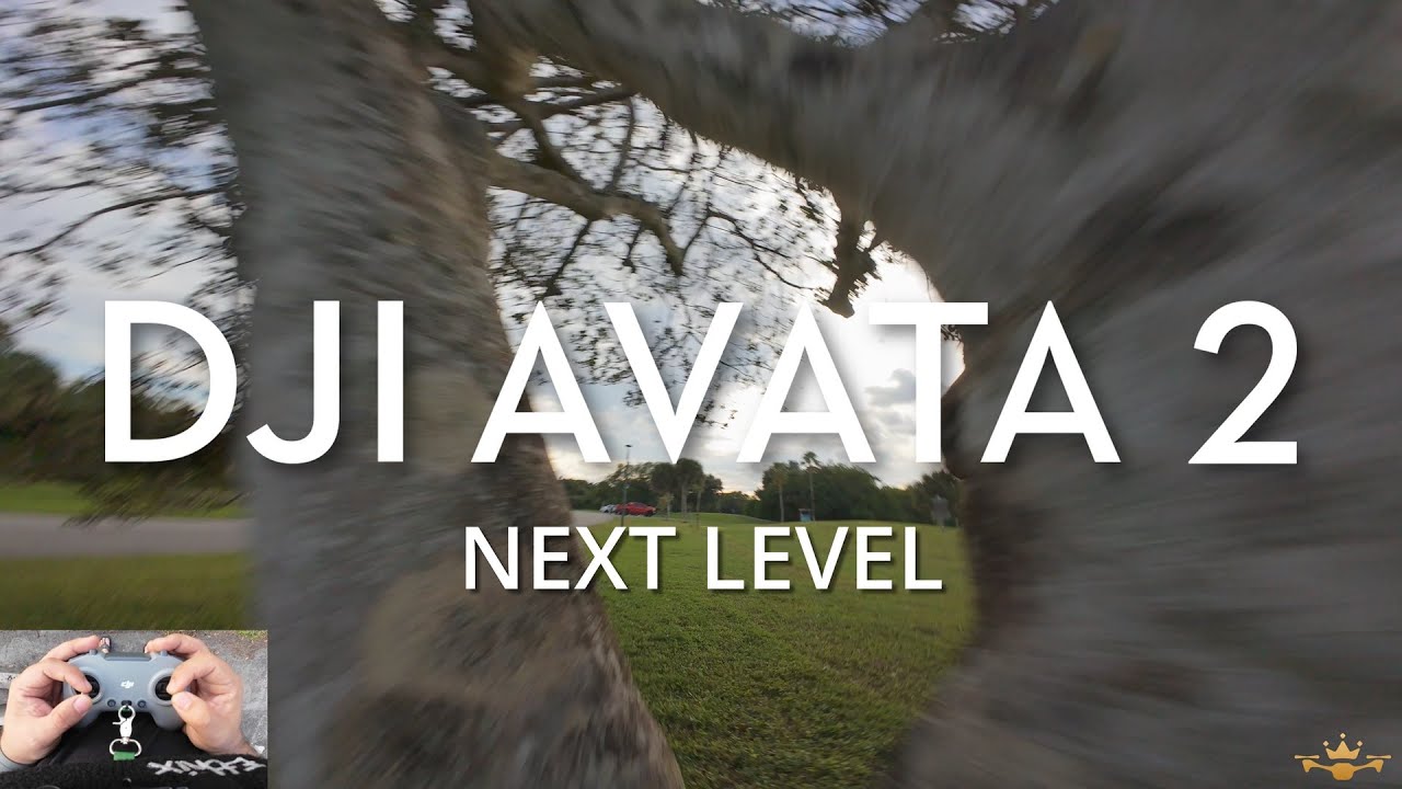 DJI Avata 2: следующий уровень | Дронархия с видом от первого лица