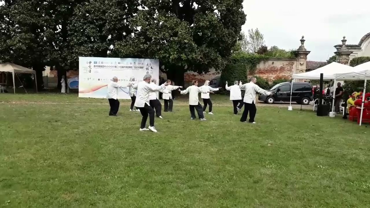 TaijiFest demoF1