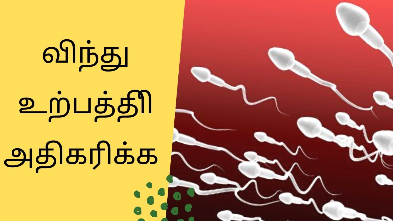 டெஸ்டோஸ்டிரோன் அதிகரிக்க பருப்பு கஞ்சி | விந்து அதிகரிக்க | காரசத்து | குழந்தையின்மை குறைபாடு நீங்க