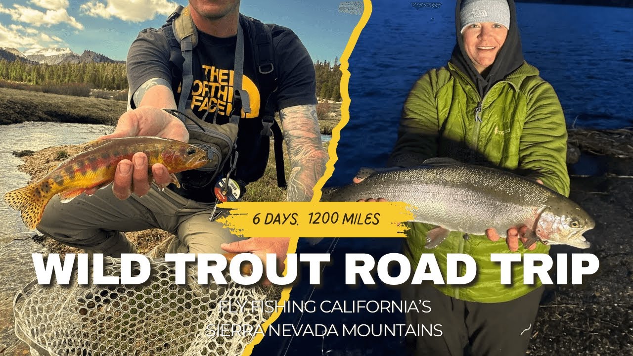 6 Days Fly Fishing the Sierra Nevada | Rainbow, Brown & Golden Trout Adventure