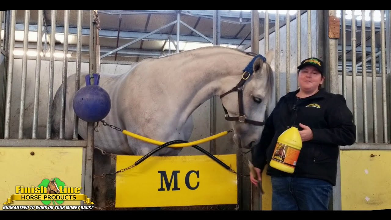 Horses LOVE U7-Gastric Aid™!