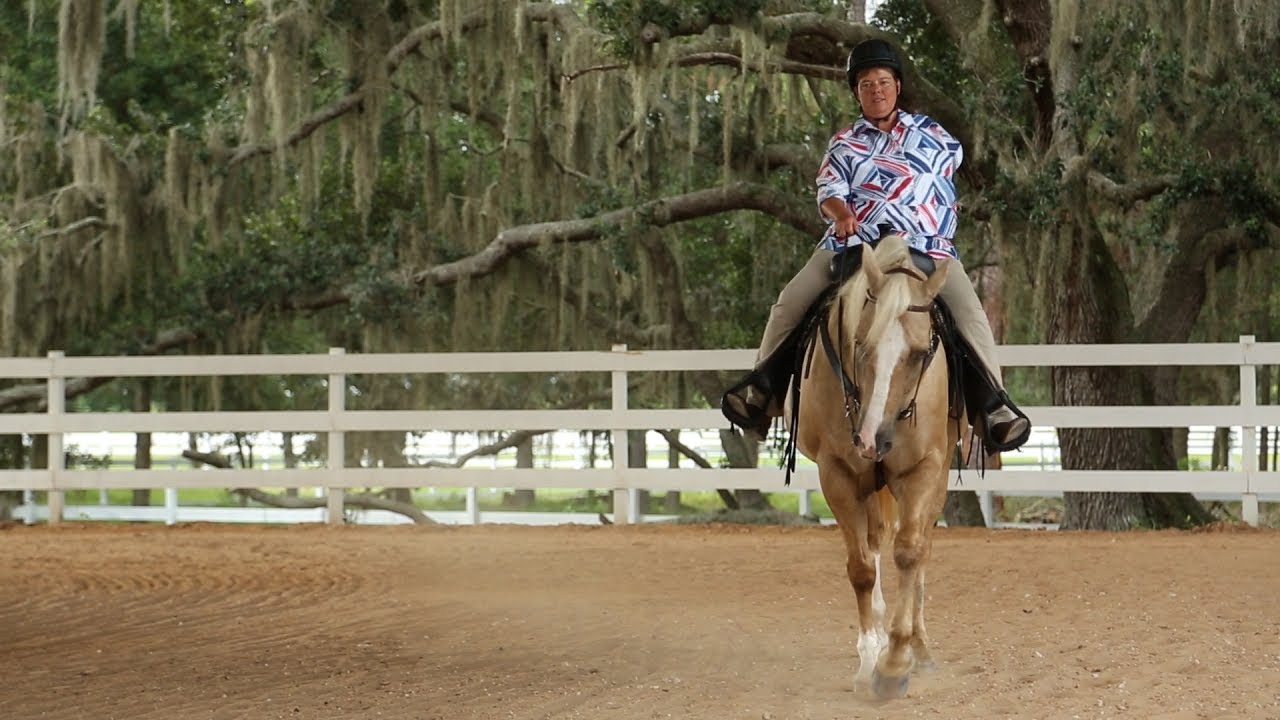 Equestrian Therapy for Veterans