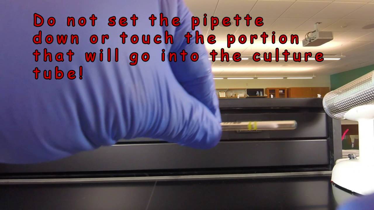 How to Read and Aseptically Handle a Sterile 1 ml Pipette