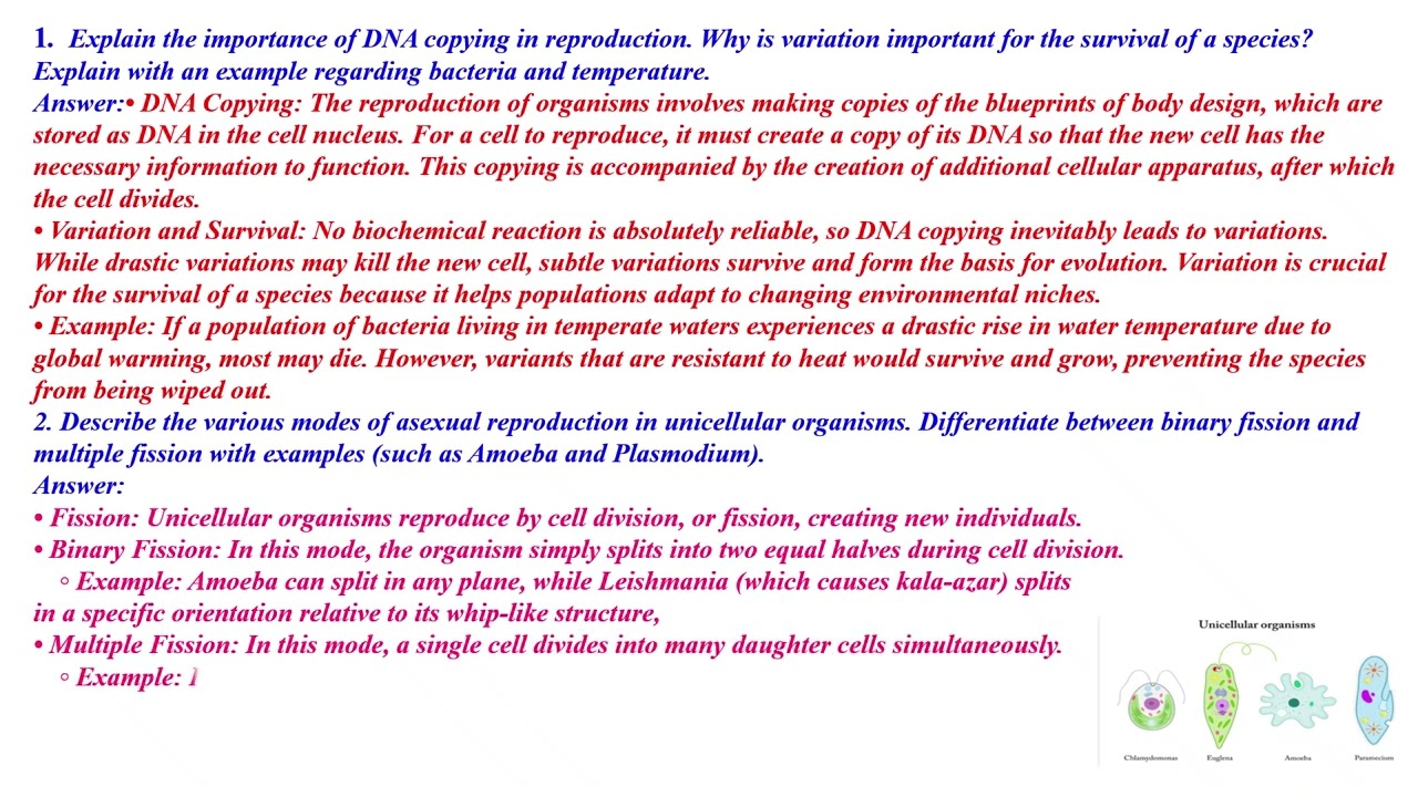 CLASS 10 SCIENCE CHAPTER 7 HOW DO ORGANISMS REPRODUCE