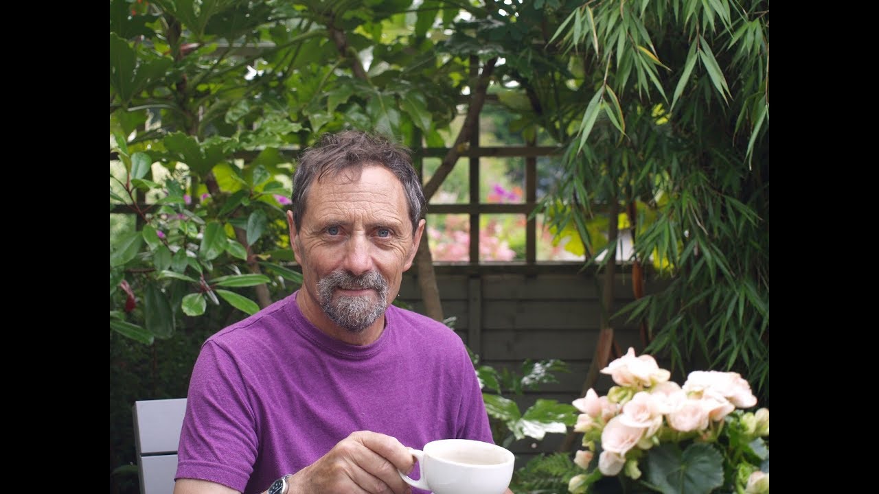 Sun Loving Plants for Sunless Ireland by John Lord