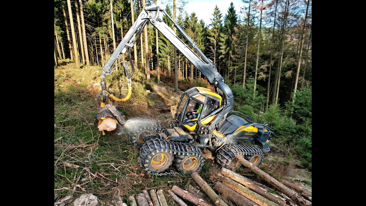 🌲4K|*KingLogger* • Ponsse ScorpionKing • fast logging • HarvesterAction • Forstbetrieb Hipp • Drone🌲