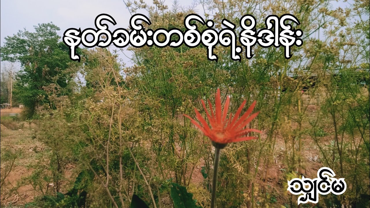 Burmese Audio Story Part43 နုတ်ခမ်းတစ်စုံရဲ့နိဒါန်း သျှင်မ