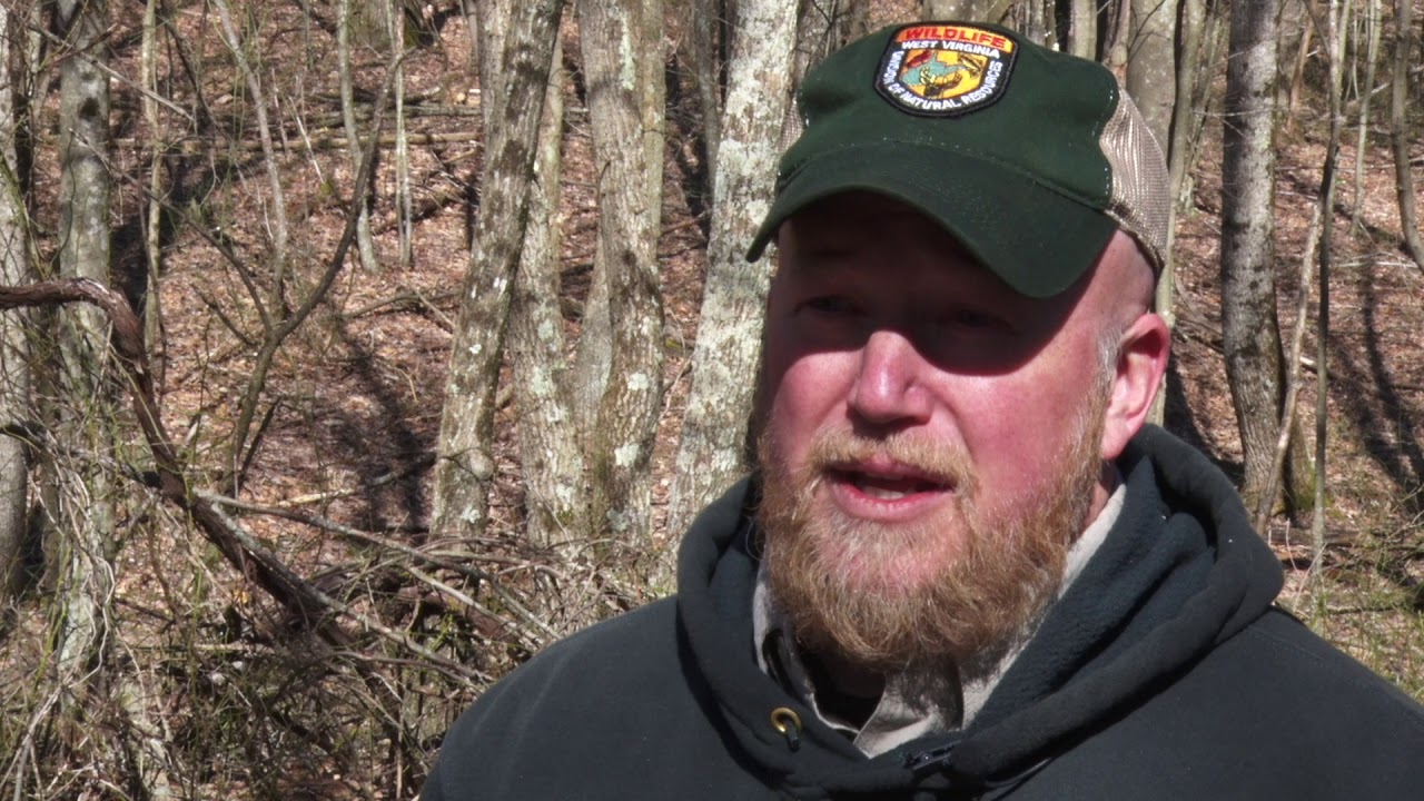 WVDNR - Bear Safety