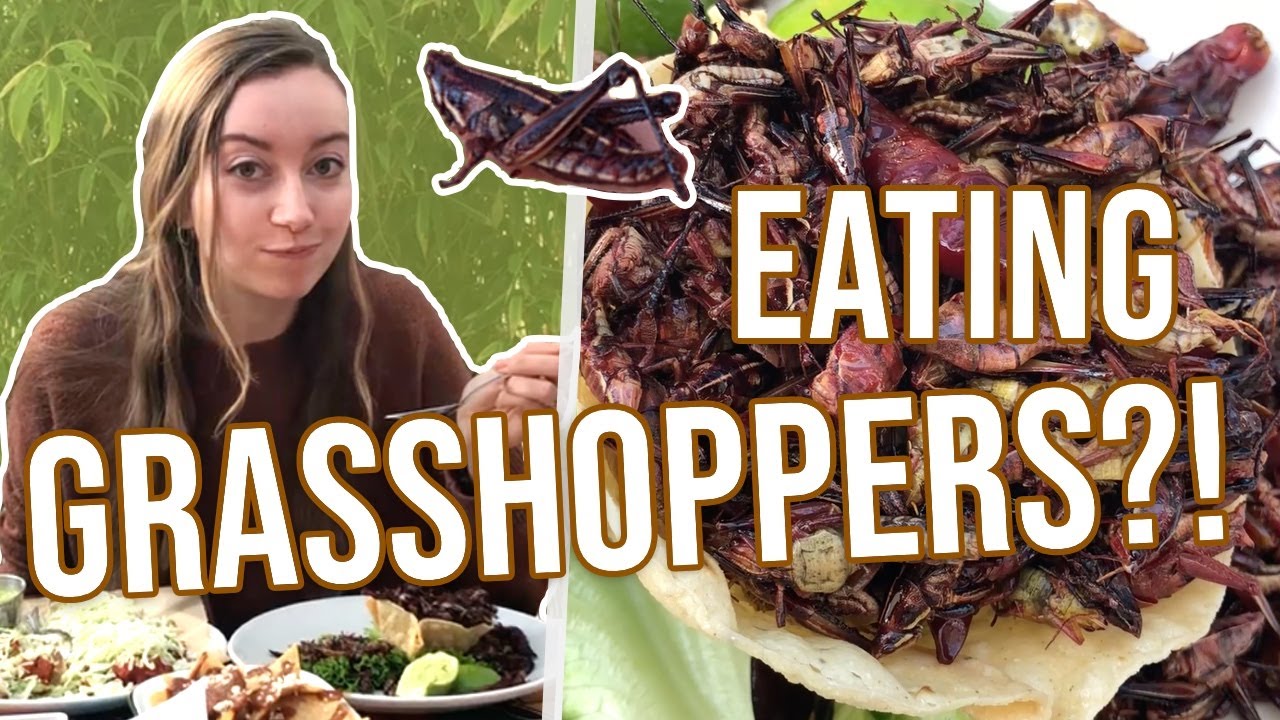 Tasty adventures in LA: how to eat bugs in a Mexican delicacy (chapulines)