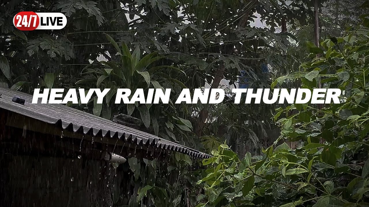 ⚡Rain and Thunderstorm Ambience (24/7) | Sleep, Study, Relax | NO TALKING, NO MUSIC