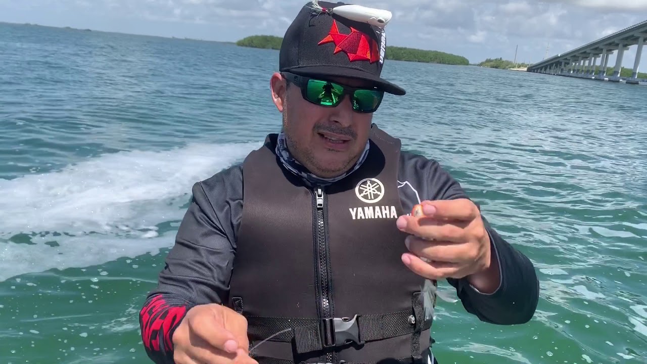 🔴Pesca en Moto Lancha 🔴| Hector Perez  PESCANDO 🎣
