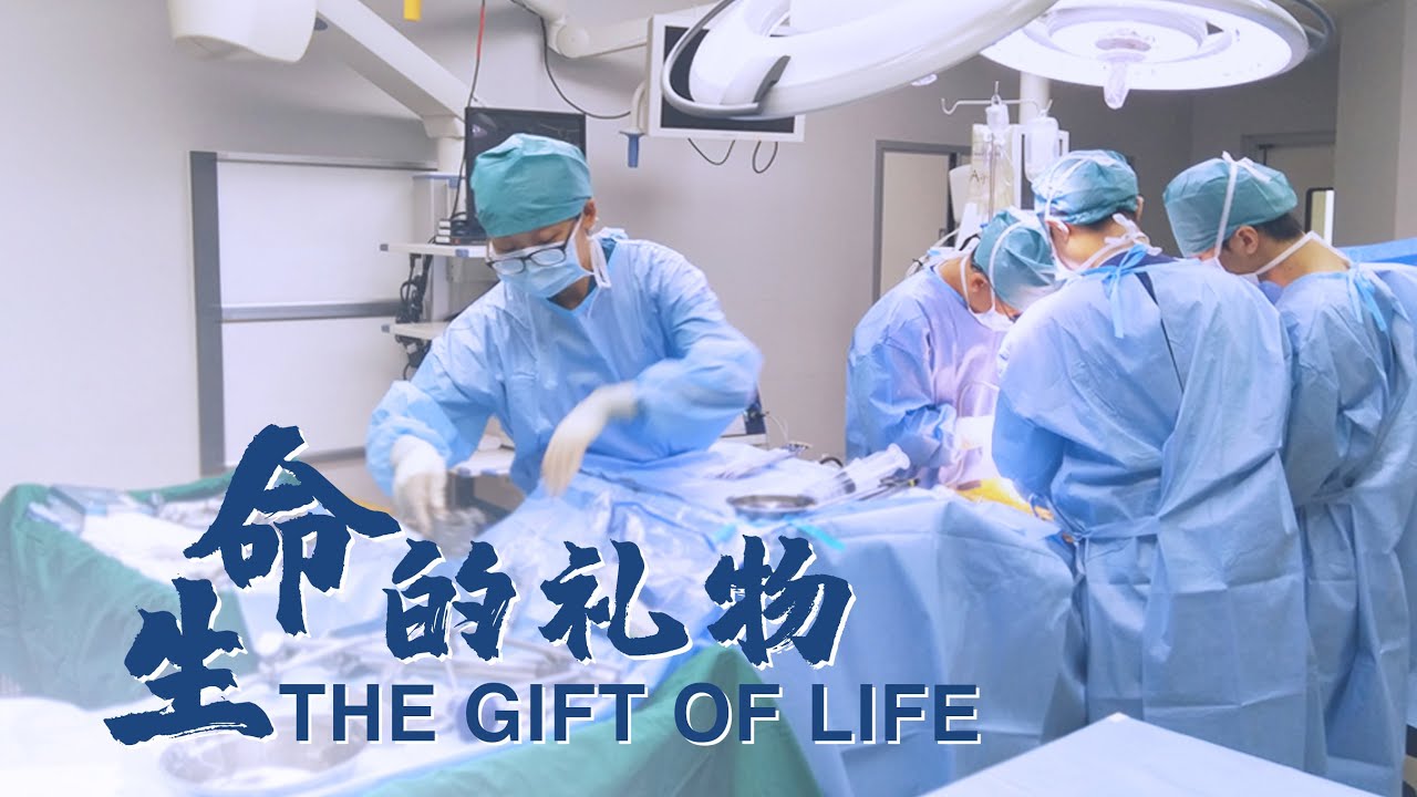 'The Gift of Life': Future of China's organ transplant