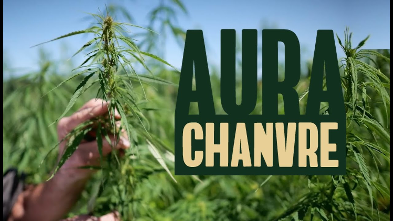 AURA Chanvre - Une fili&egrave;re chanvre textile en Auvergne Rh&ocirc;ne Alpes VERSION COURTE