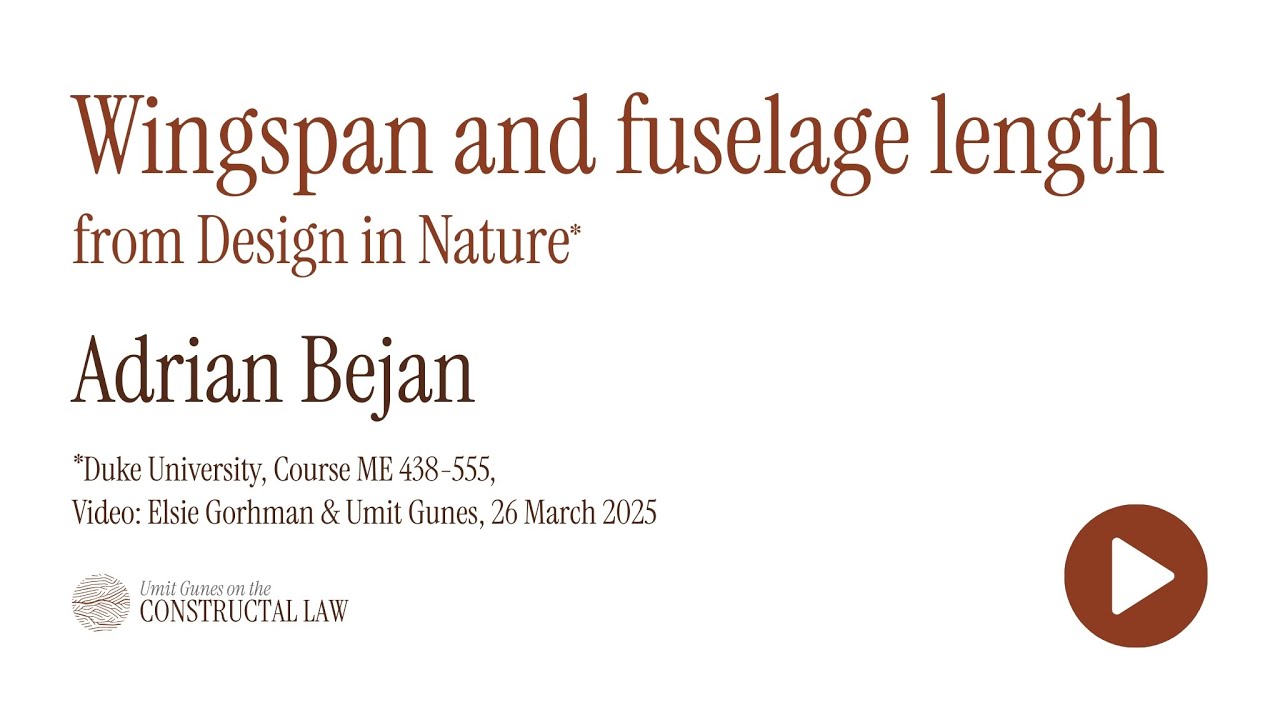 Adrian Bejan | Wingspan and fuselage length, from Design in Nature