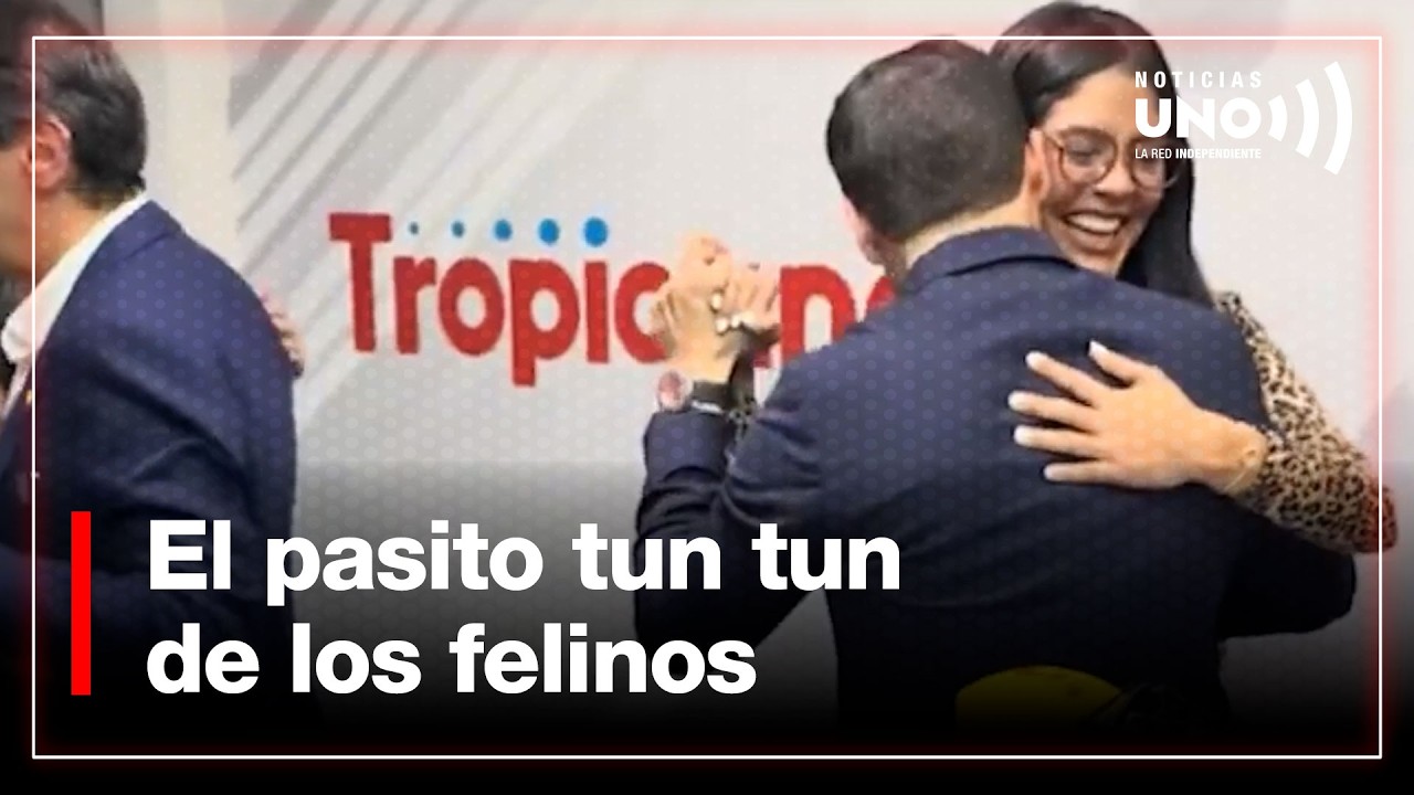 El pasito tun tun de los felinos// Si tu mirada matara// Fútbol en paz total | Noticias UNO