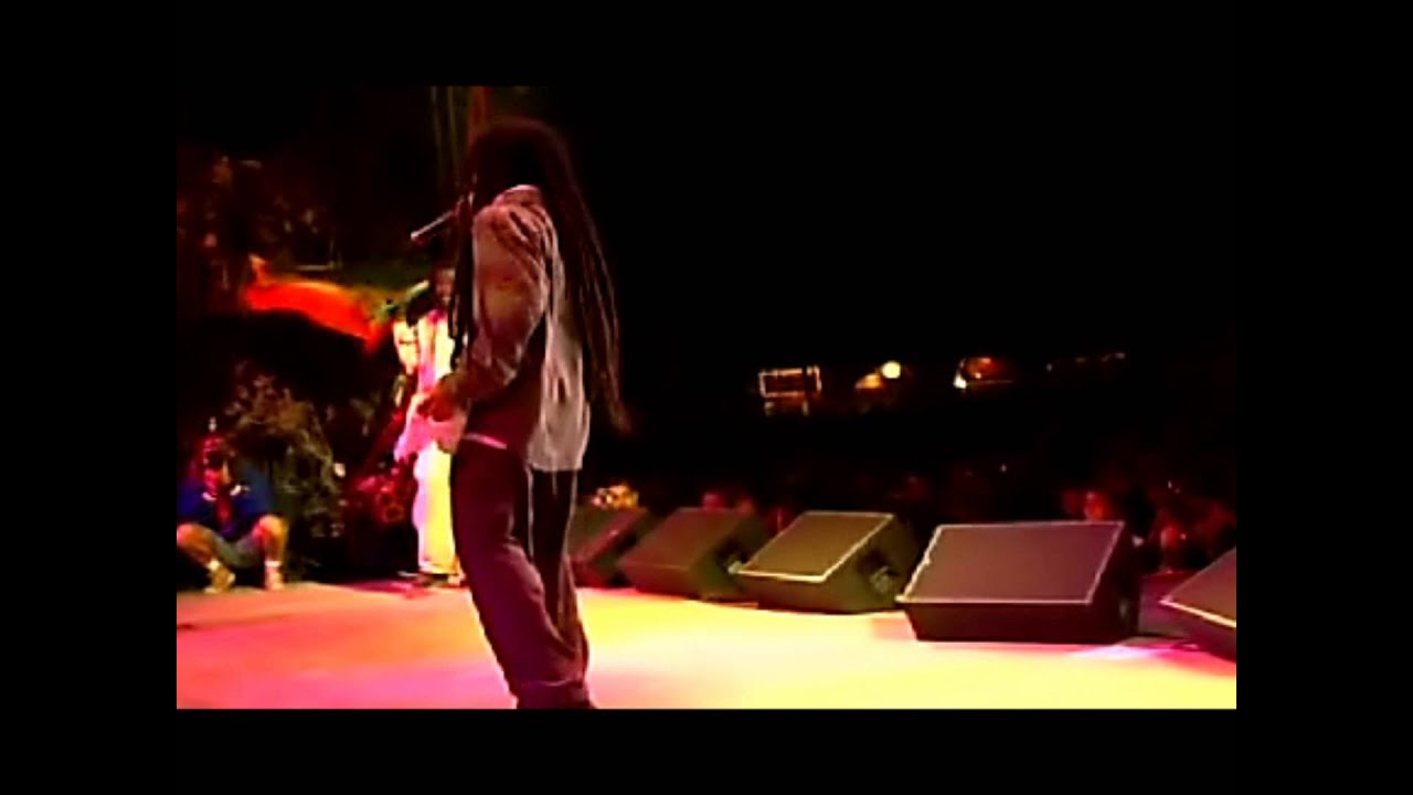 DAMIAN & STEVEN MARLEY-  Mr Marley - Reggae onThe River Live - 2013
