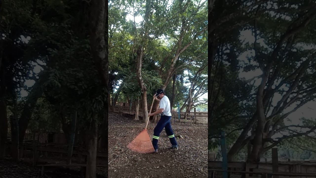 pesca fechada limpa a areia de seva pra conserva&ccedil;&atilde;o blz kkkk at&eacute; a pesca abrir abra&ccedil;o