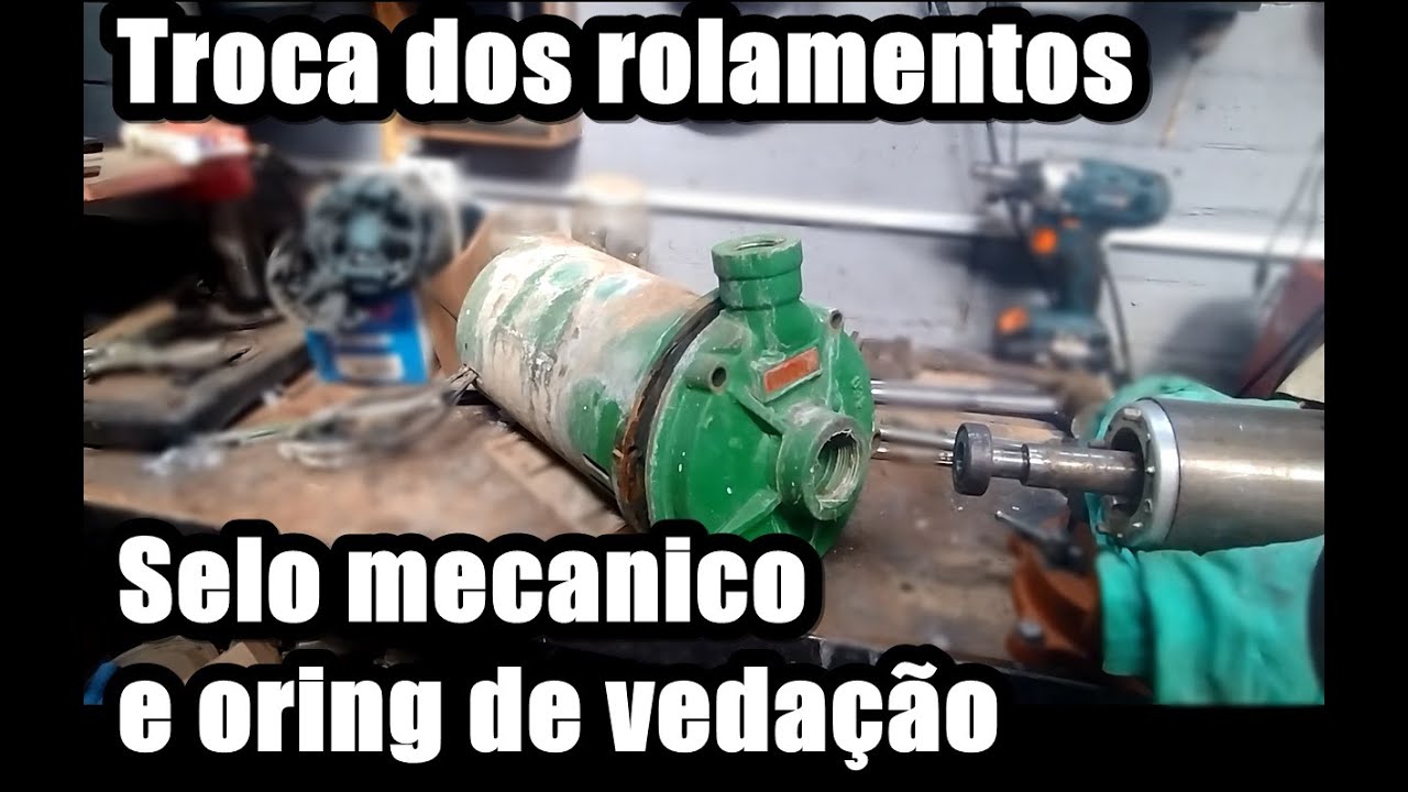 Como trocar rolamentos e selo da Bomba Thebe