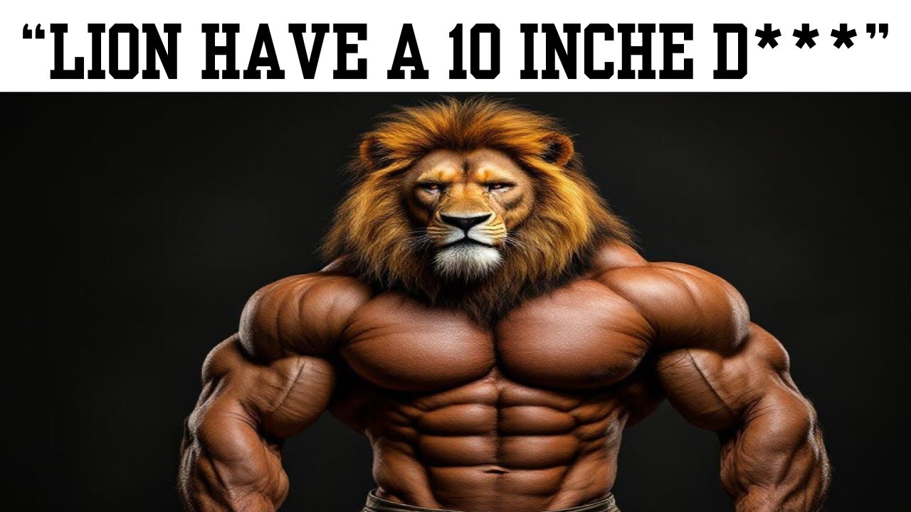 Lion Quotes that will change your life