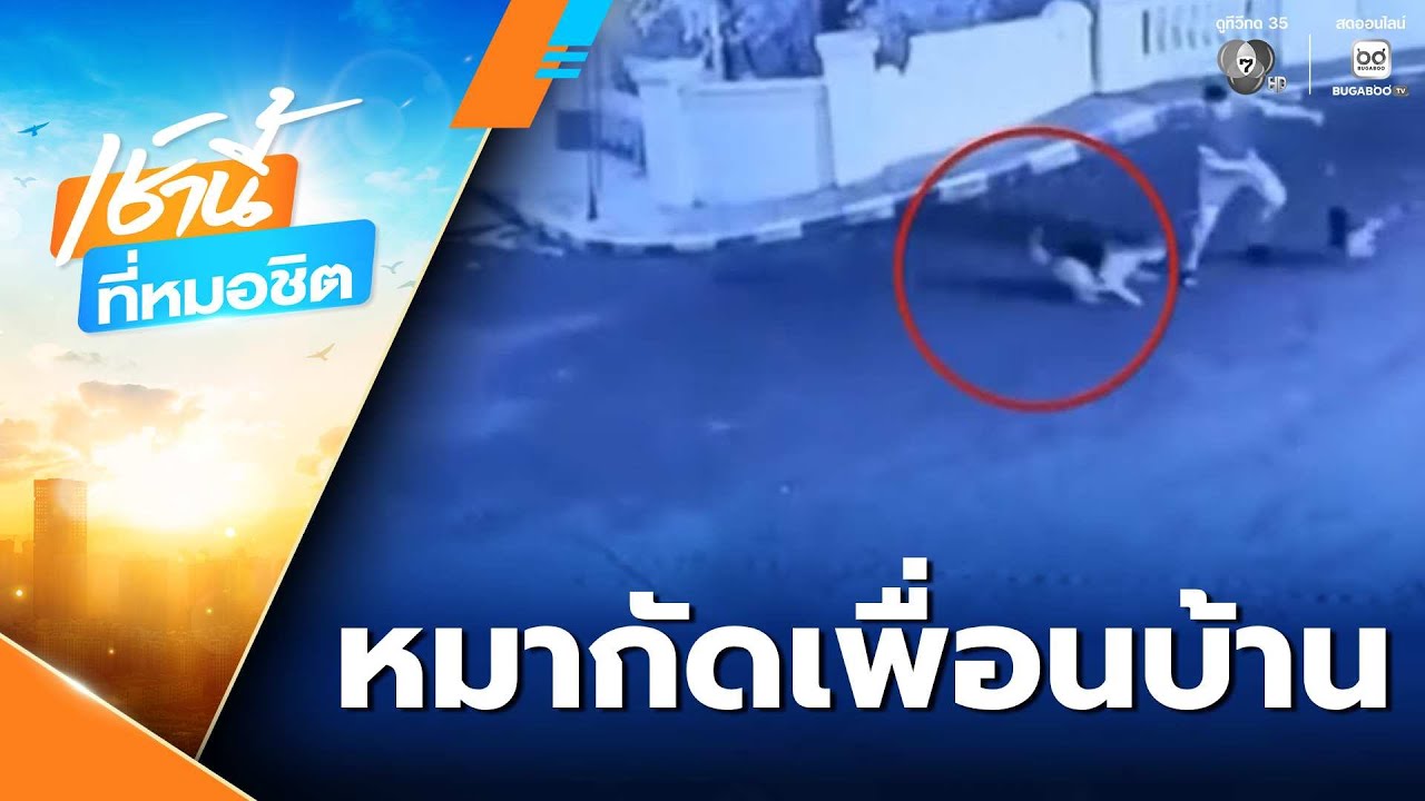ปัญหาโลกแตก ! หมากัดเพื่อนบ้าน | เช้านี้ที่หมอชิต