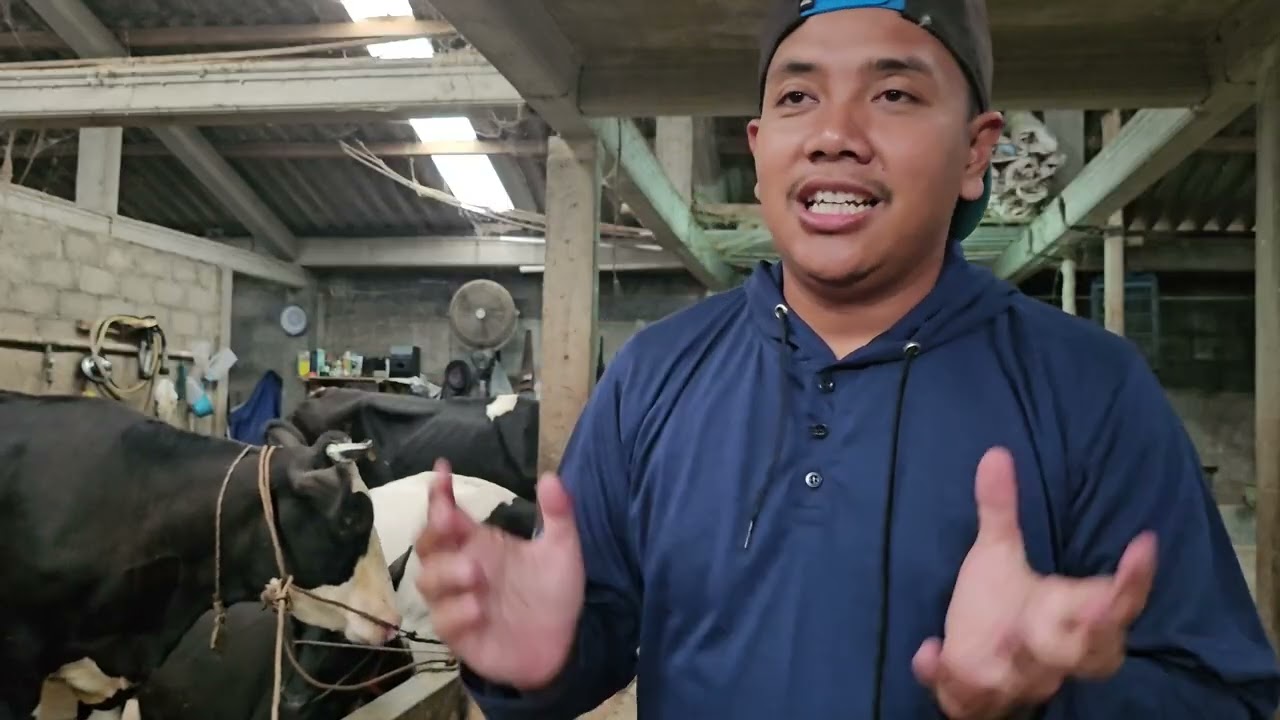 PERTANIAN INTEGRASI DI DESA || MLIWIS CEPOGO BOYOLALI 