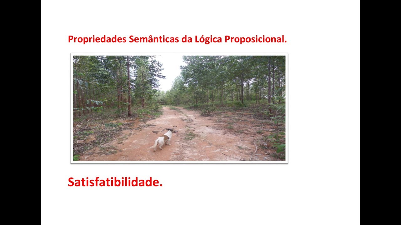 L&oacute;gica Matem&aacute;tica.  Propriedades sem&acirc;nticas. Satisfatibilidade.