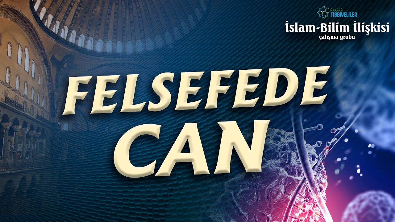 Felsefede Can - Ayhan Çitil