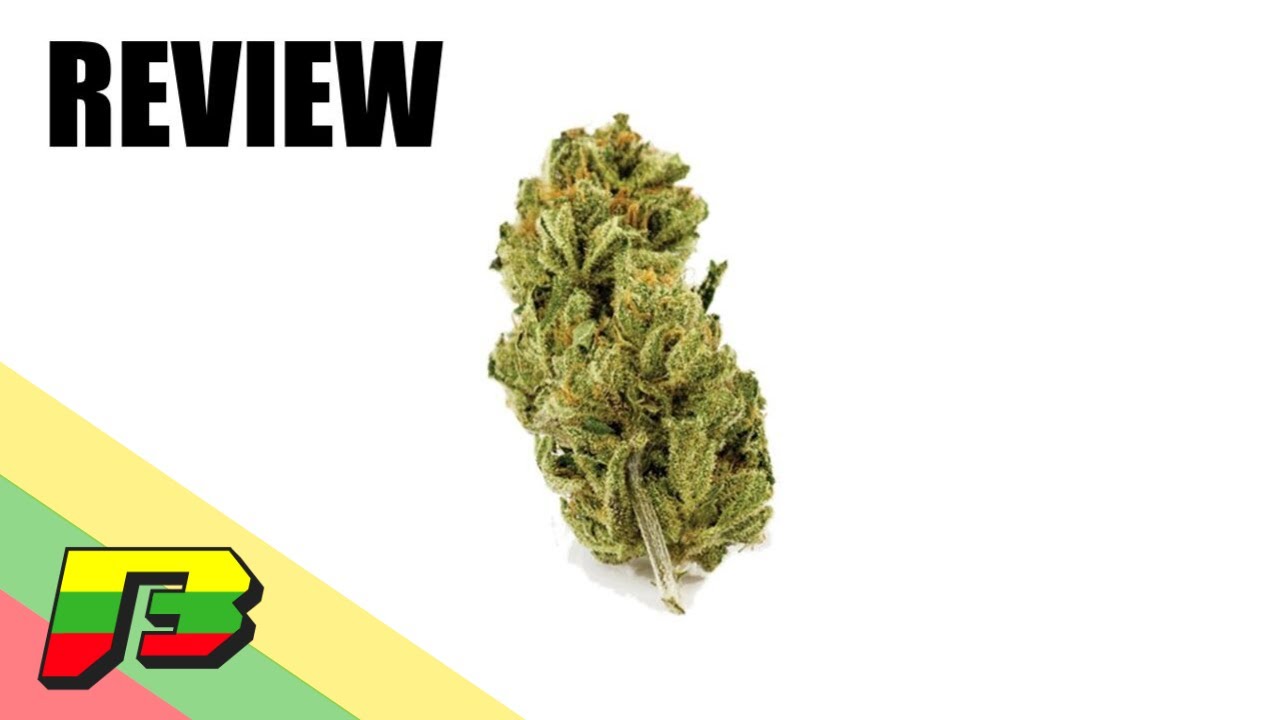 Super Silver Haze Weed Review | BammerTV