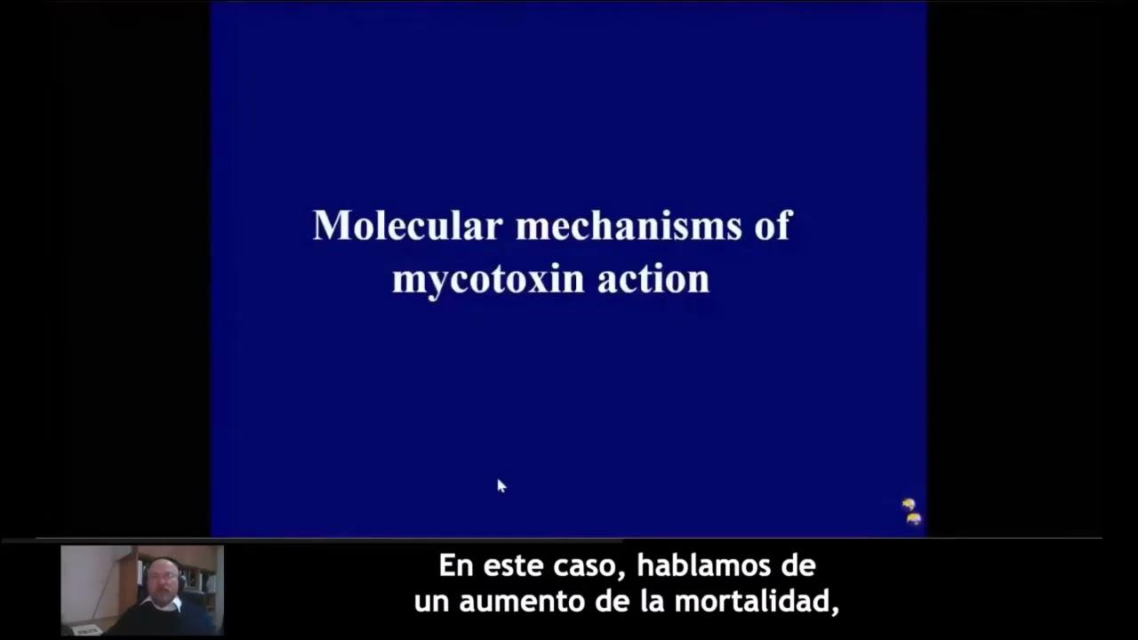 Mycotoxin and oxidative stress: a performance bottleneck - MycoInfo 4/5 (SP)
