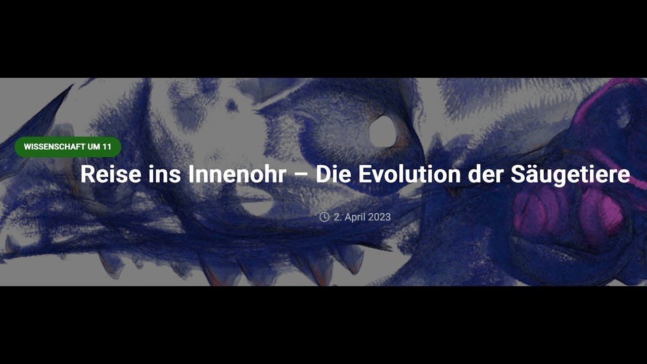 Reise ins Innenohr &ndash; Die Evolution der S&auml;ugetiere